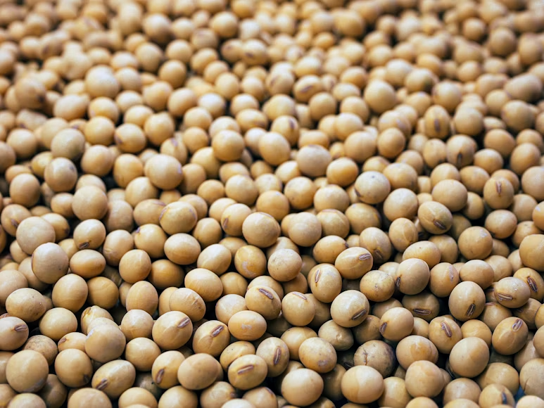 Soyabean